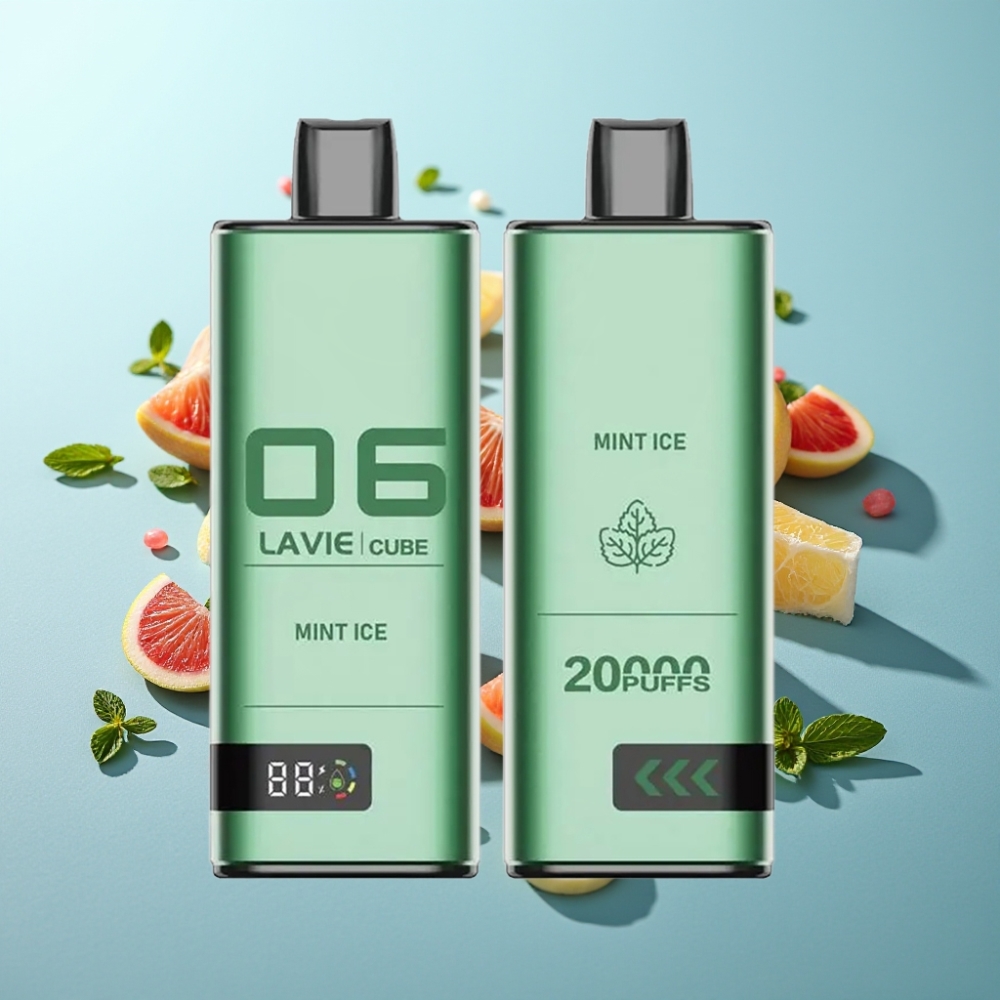Lavie Cube 20000 Puffs 28ML 5 Salt Nicotine Disposable Vape Мента Лед