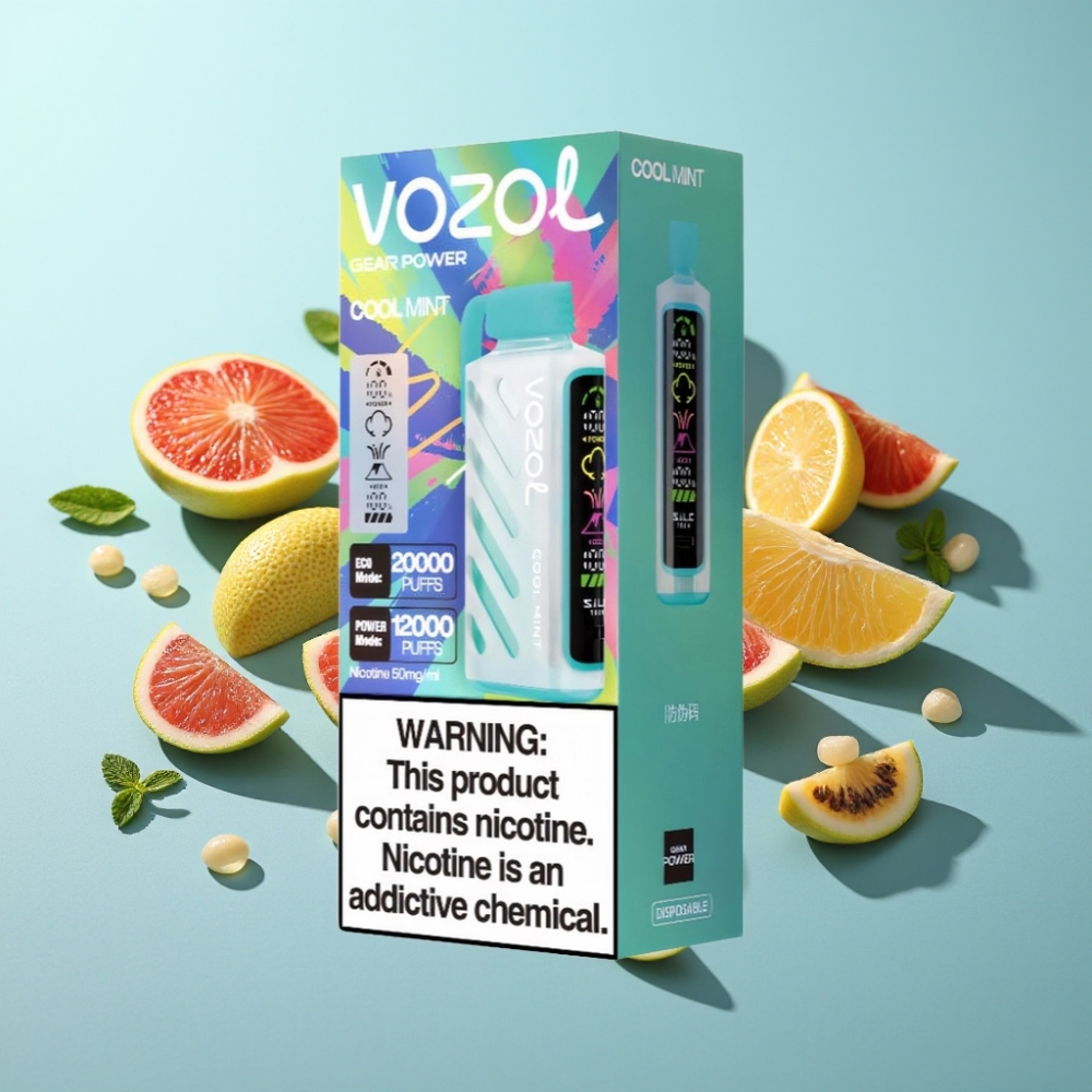 VOZOL Gear Power 20000 Пуфове Dual Mesh Cool Mint (Хладилен Мента)