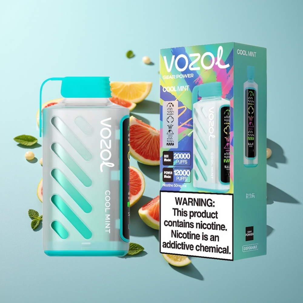 VOZOL Gear Power 20000 Пуфове Dual Mesh Cool Mint (Хладилен Мента)