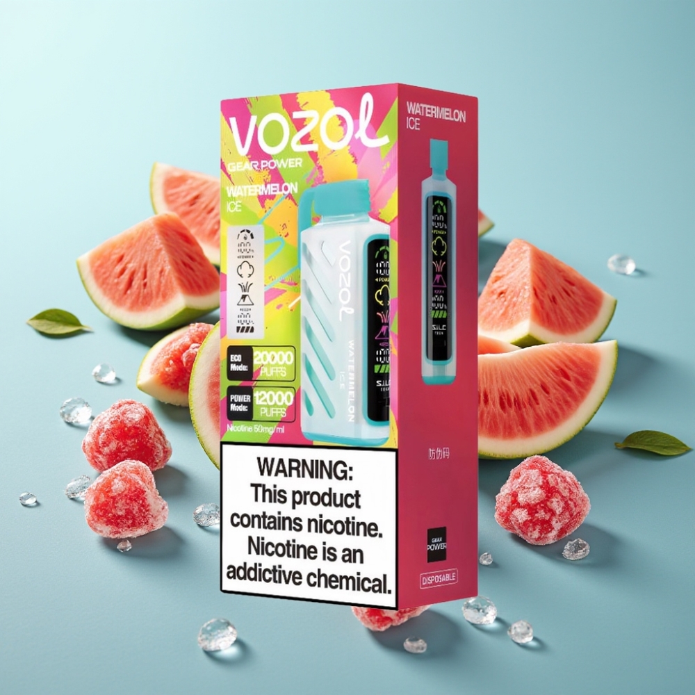 VOZOL Gear Power 20000 Пуфове Dual Mesh Диня Лед Full Screen Display